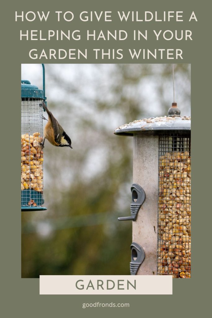 How To Give Wildlife A Helping Hand In Your Garden This Winter