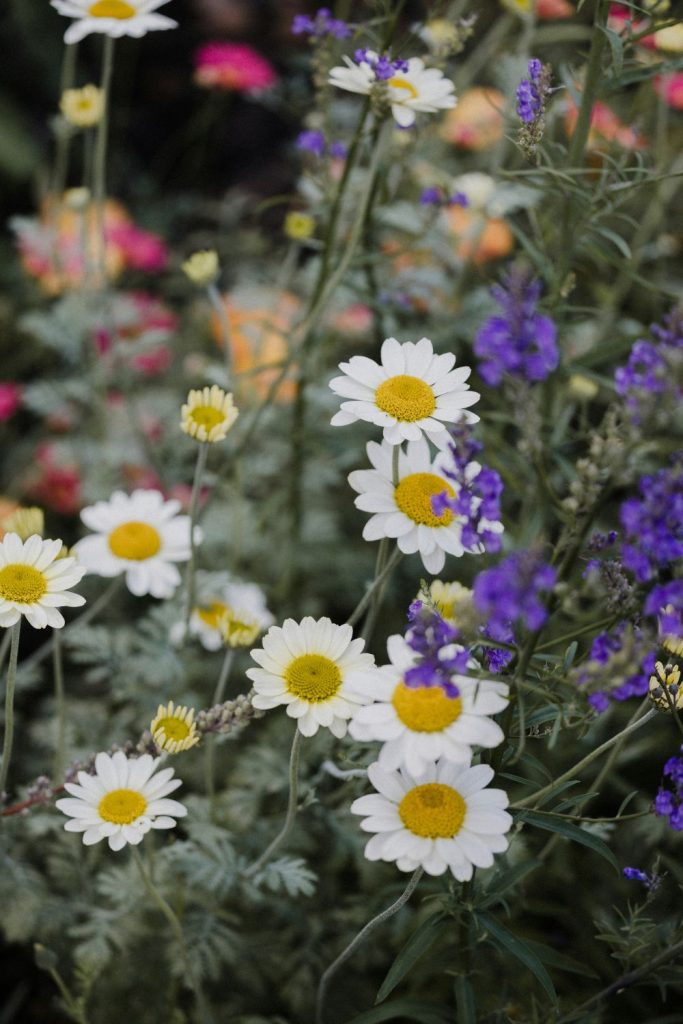 Gardening Hacks Good Leaves