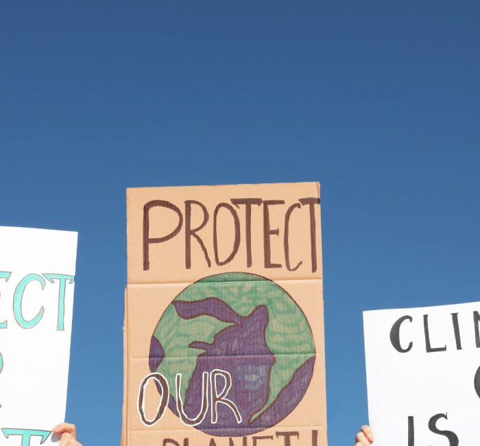 Climate Activism - Good Fronds Blog