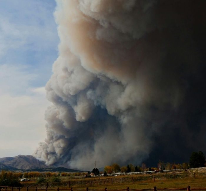 trends in global wildfires 1