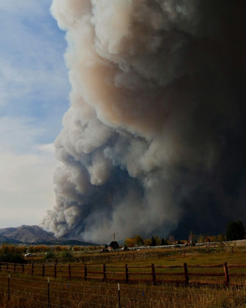 trends in global wildfires 1