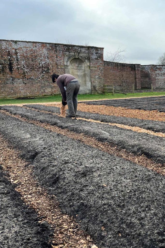 A Bigger, Better Kitchen Garden